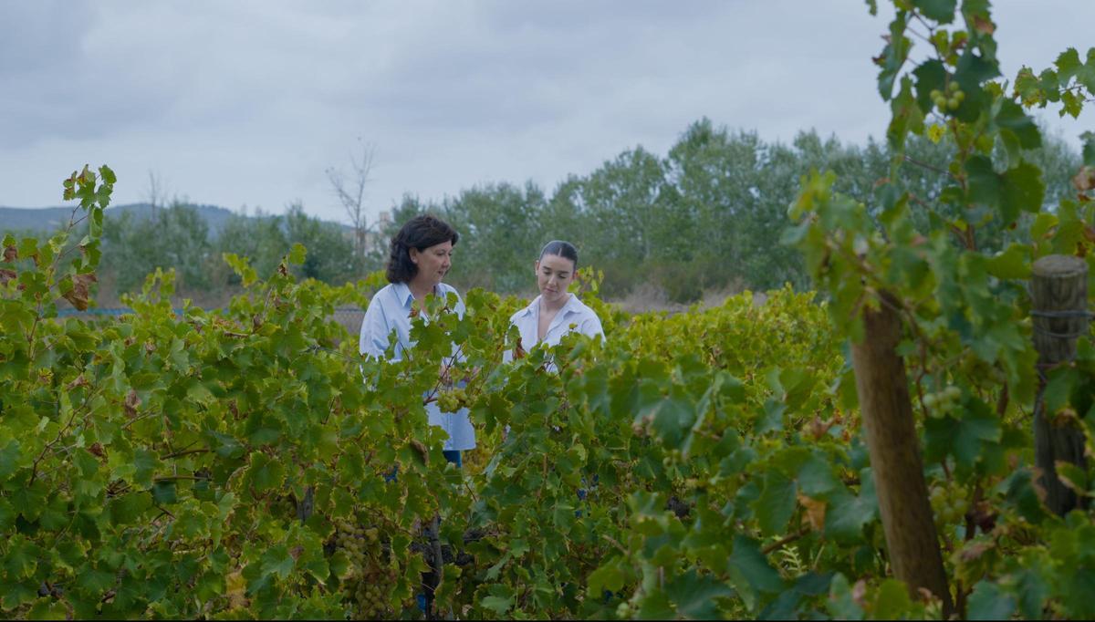 Para la elaboración del moscatel se congelan las uvas y de cada añada se obtiene una serie limitada.