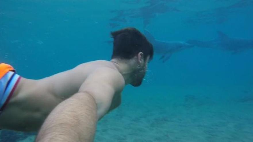 Nadando entre delfines en la Bahía de Formas