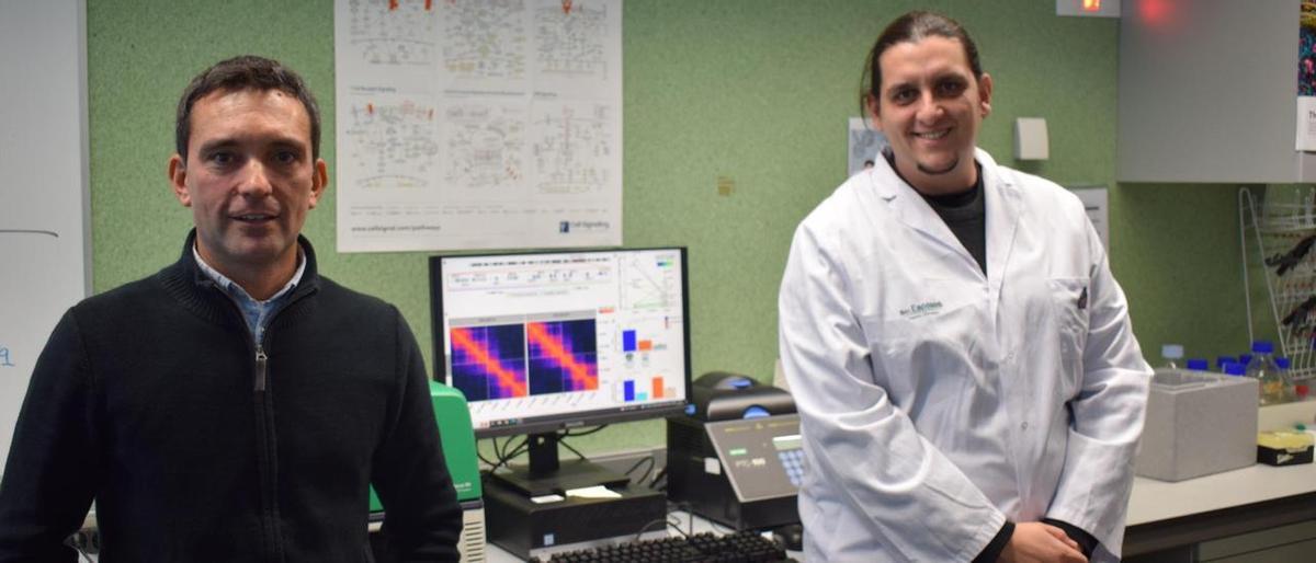 Los investigadores del IdISBa Diego Marzese y Pere Llinàs-Arias.