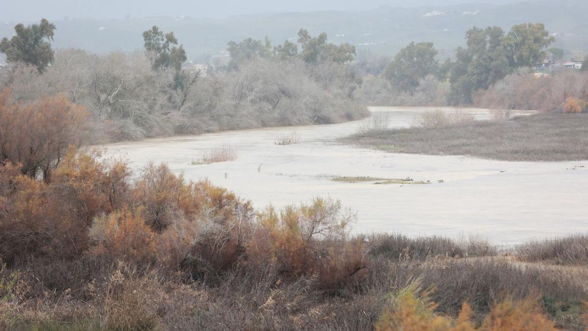 El río Guadalquivir a su paso por la localidad sevillana de Lora del Río