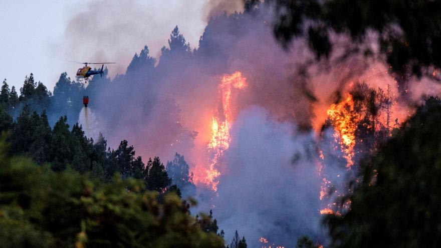 Imagen de archivo del incendio en el municipio grancanario de Valleseco el pasado 2019. |