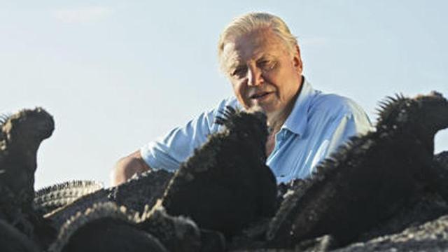 Sir David Attenborough, un apasionado de la vida animal.