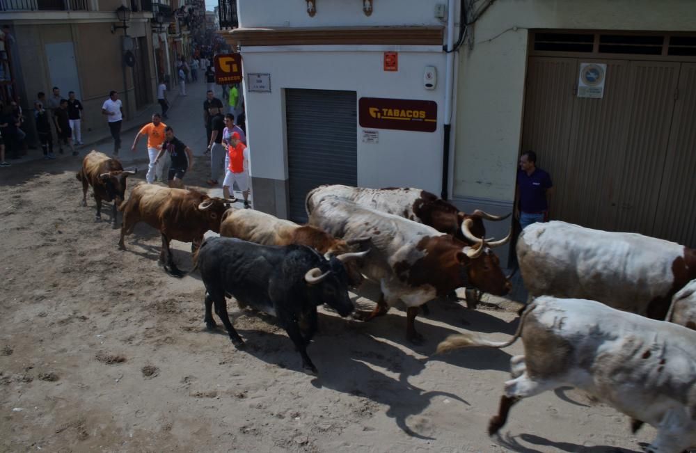 Festes de Santa Quitèria en Almassora