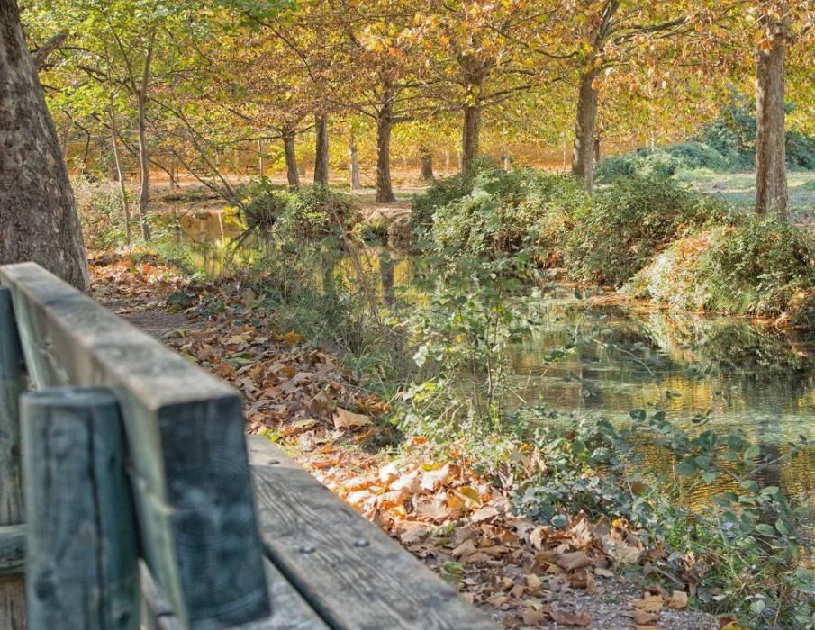 Fuentes del Marques: El otoño nace en Caravaca