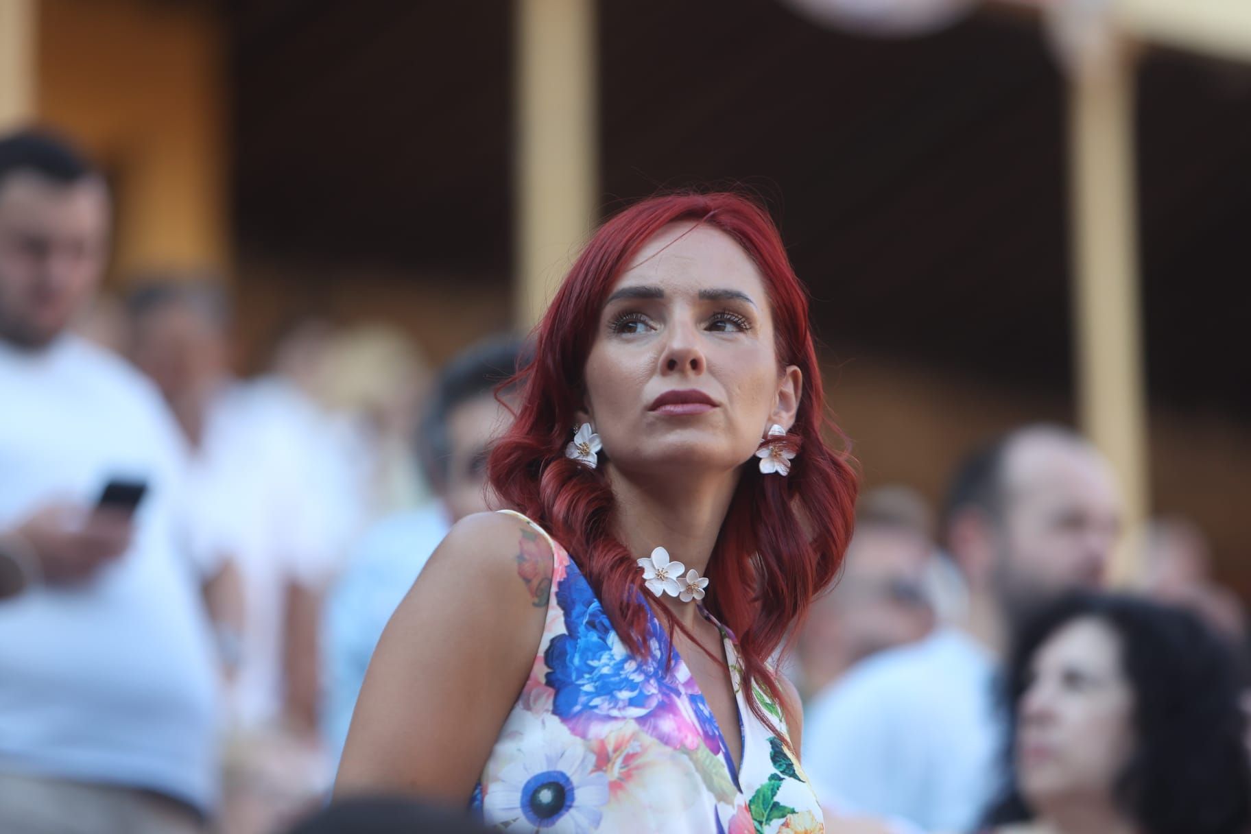Así ha sido la tarde de Toros de Victorino Martín para Manuel Escribano, en solitario, en Alicante