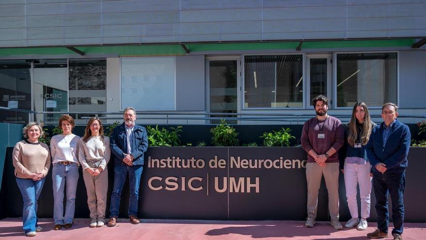 Neurociencias de la UMH de Elche identifica una posible diana terapéutica para frenar la ELA