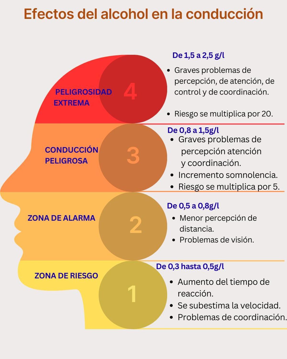 Efectos del alcohol en la conducción