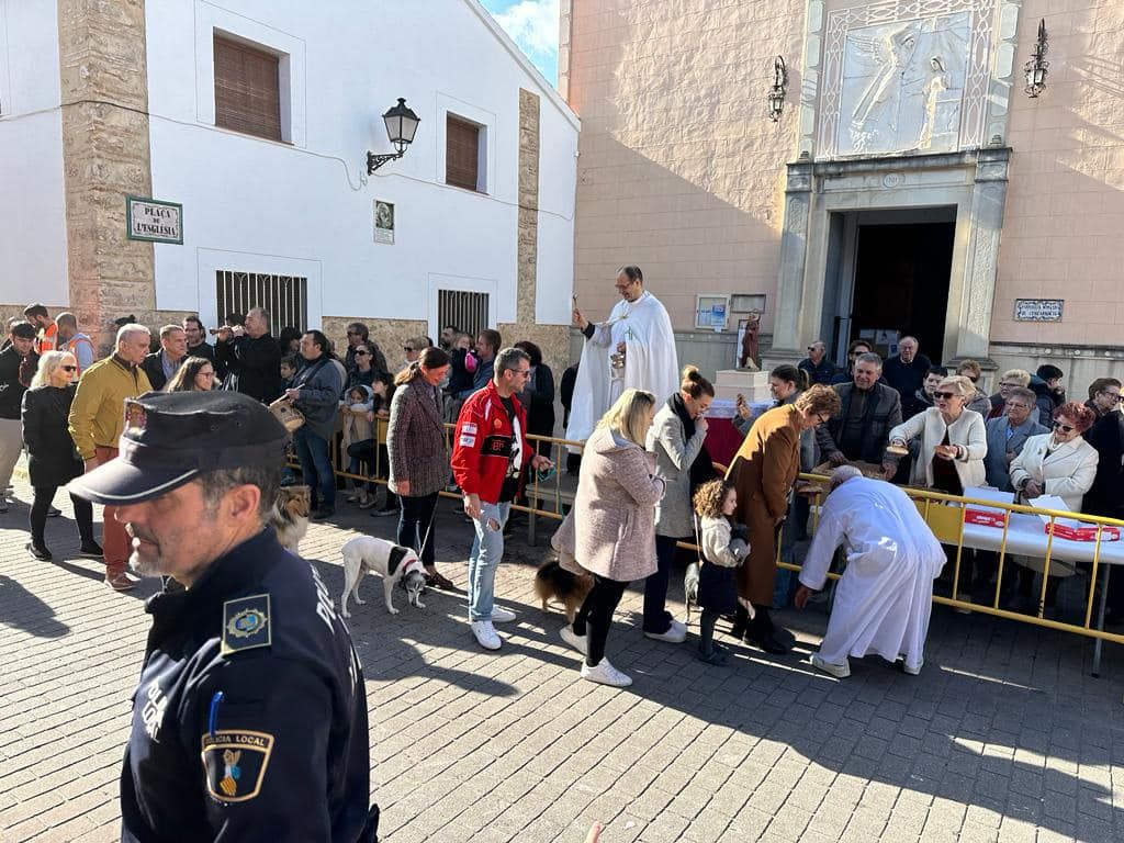 Daimús, Guardamar, Xeraco, l'Alqueria, Piles y Xeraco se vuelcan con Sant Antoni