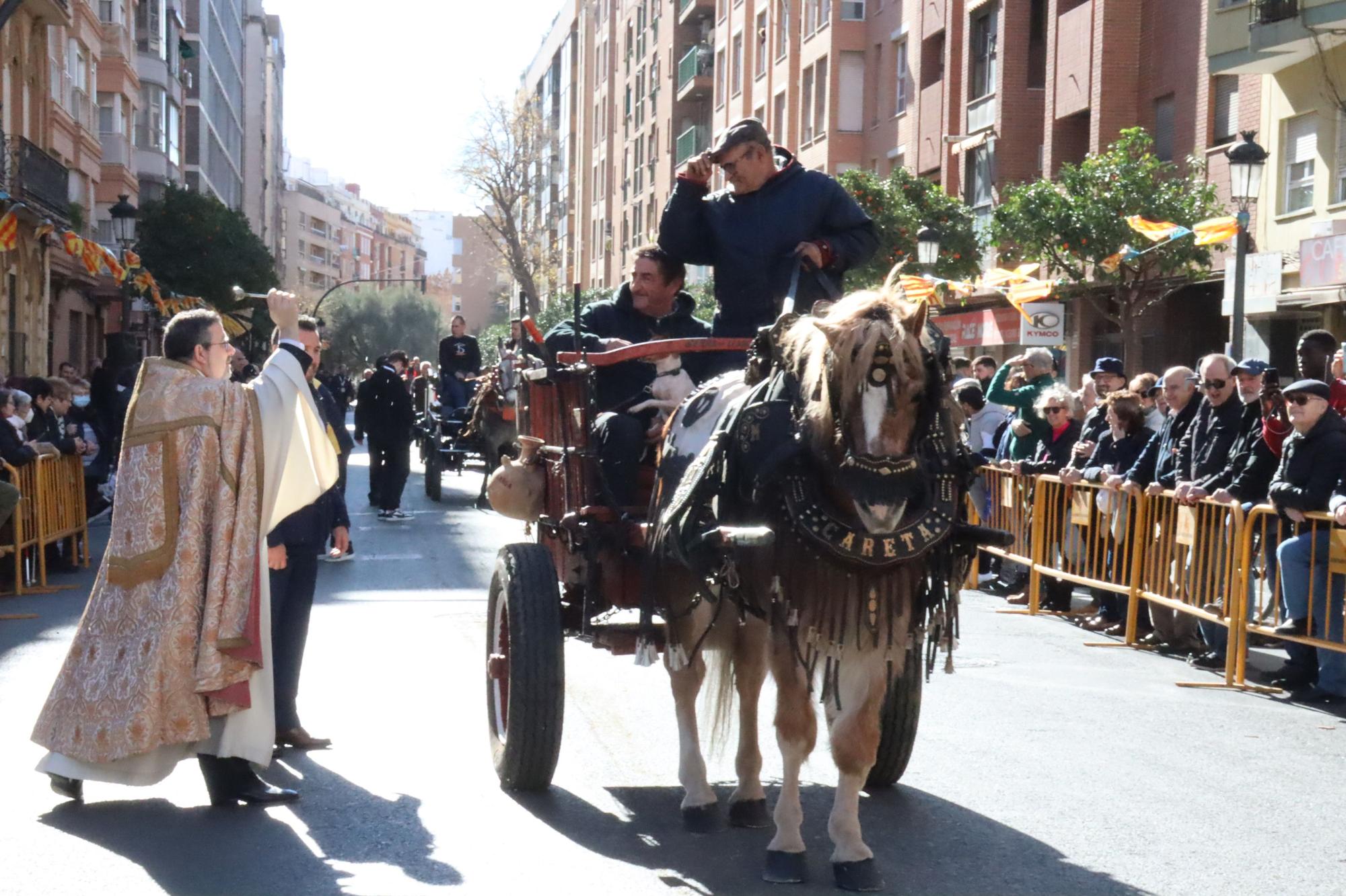 Perros policía y animales de granja completan el desfile de Sant Antoni en València