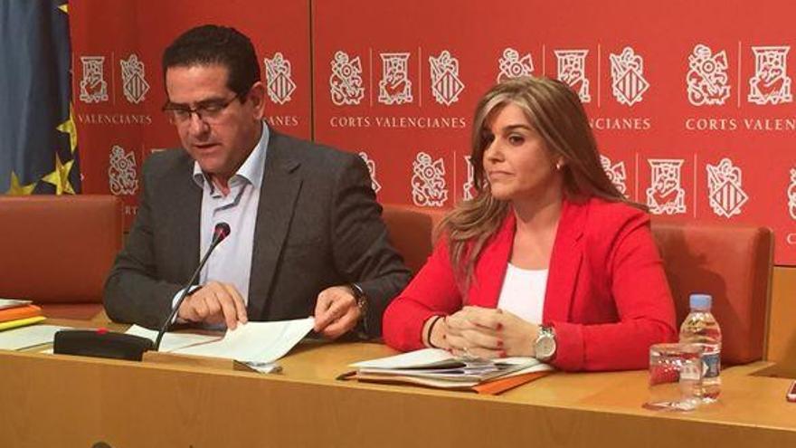 El PPCV lleva a la Fiscalía datos de Carns de Morella por presunta prevaricación