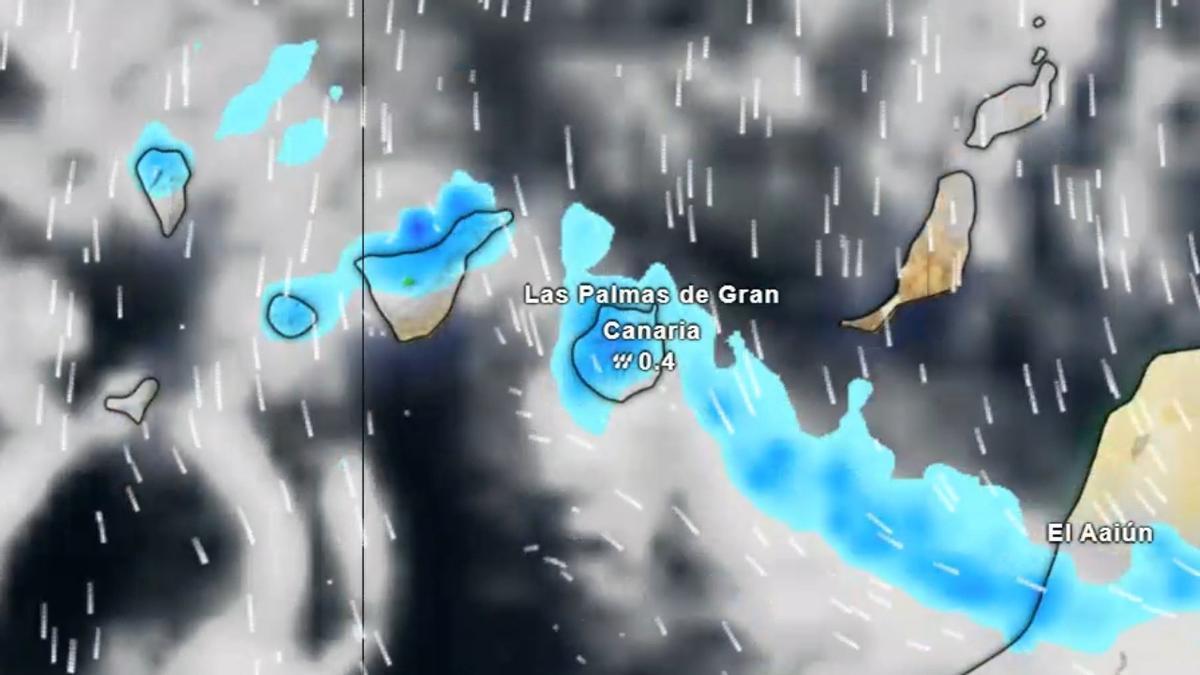 Pronóstico del tiempo (02 al 08 de marzo 2026)
