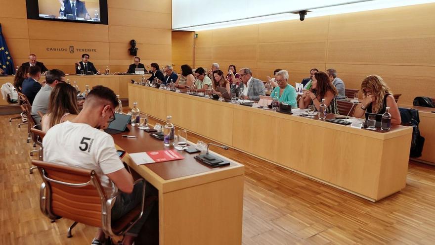 Un momento del pleno extraordinario de ayer del Cabildo para tratar la gratuidad . | | MARÍA PISACA