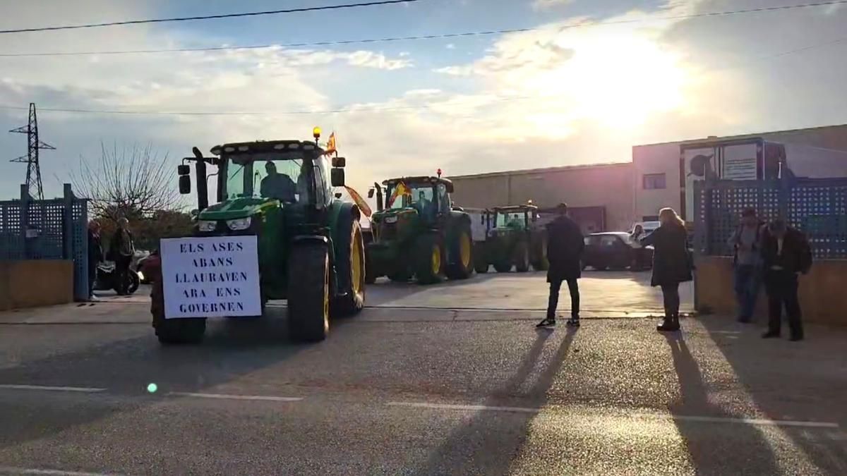 Große Traktor-Demo auf Mallorca