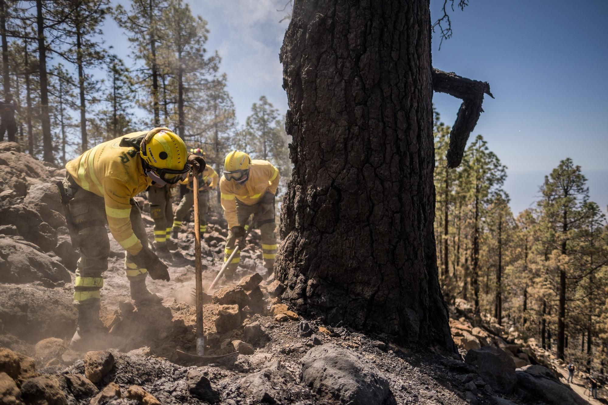 Dispositivo especial del Cabildo de Tenerife en el incendio de Arico