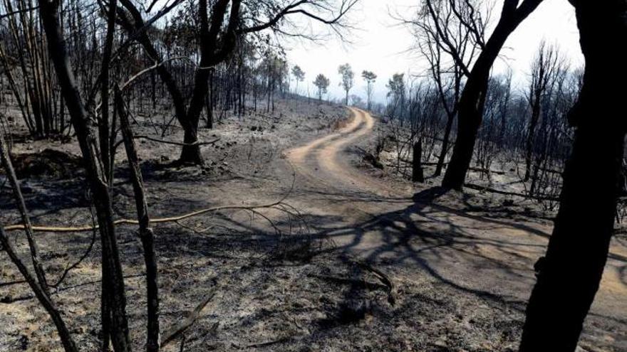 Montes calcinados y un manto de cenizas recubren las inmediaciones de la aldea de Seadur, en Larouco, que estuvo en peligro. / brais lorenzo