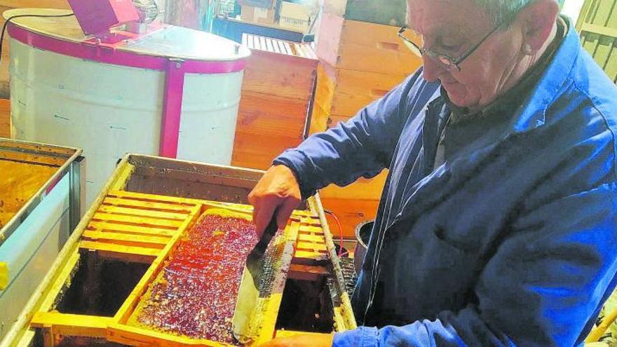 iIndalecio Prieto Lobato  procede al manejo de los cuadros para la extracción de miel . | Roberto Peña