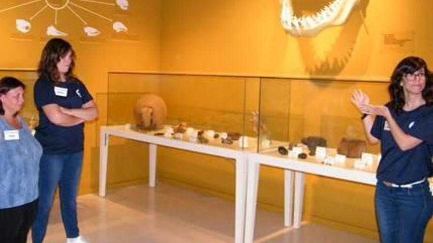 Museos y espacios inclusivos