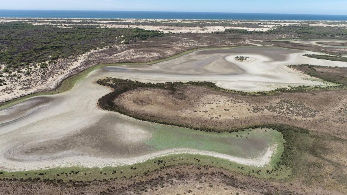 Imagen tomada el 2 de septiembre de 2022 de la laguna de Santa Olalla, la única laguna de agua permanente que queda en Doñana.