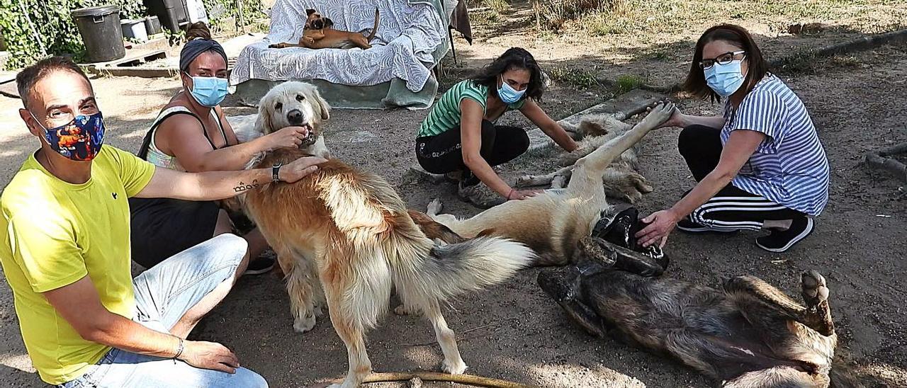 Alberto, Elena, Montse y Mari Carmen en el refugio de Agallas, jugando con los perros. |   // F.CASANOVA