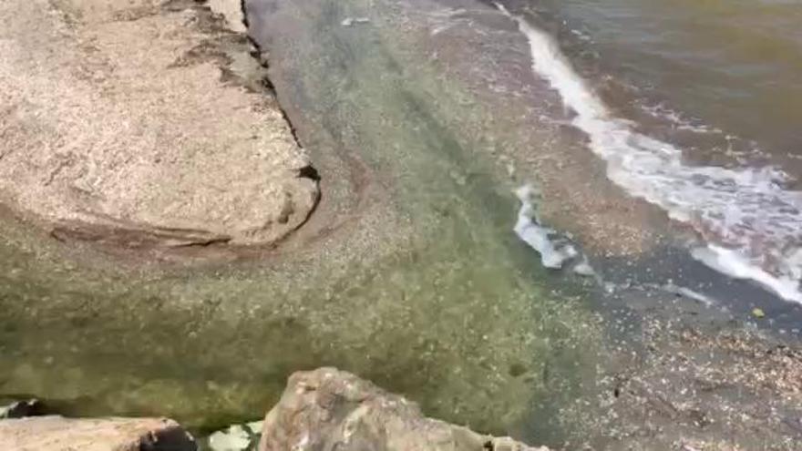 Los vecinos de Los Urrutias demuestran con un vídeo cómo los vertidos siguen llegando al Mar Menor