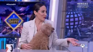 Conoce a Jacinta, la caniche toy de Tamara Falcó que está rivalizando en popularidad a su dueña