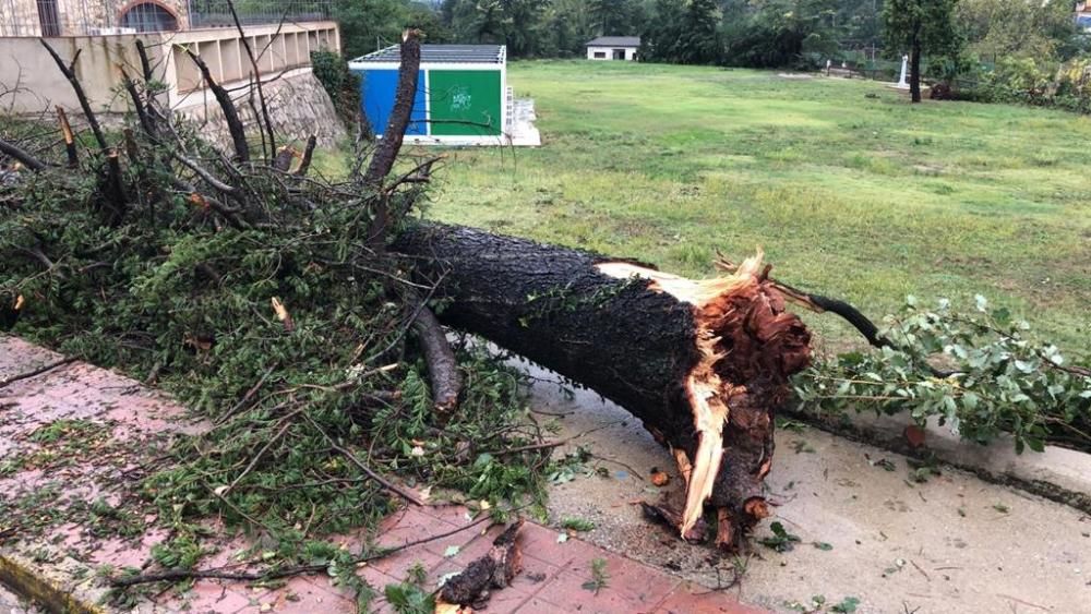 Destrosses a Riells i Viabrea per un tornado