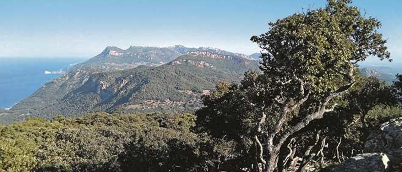 Caos, La Serra, Casal Petit