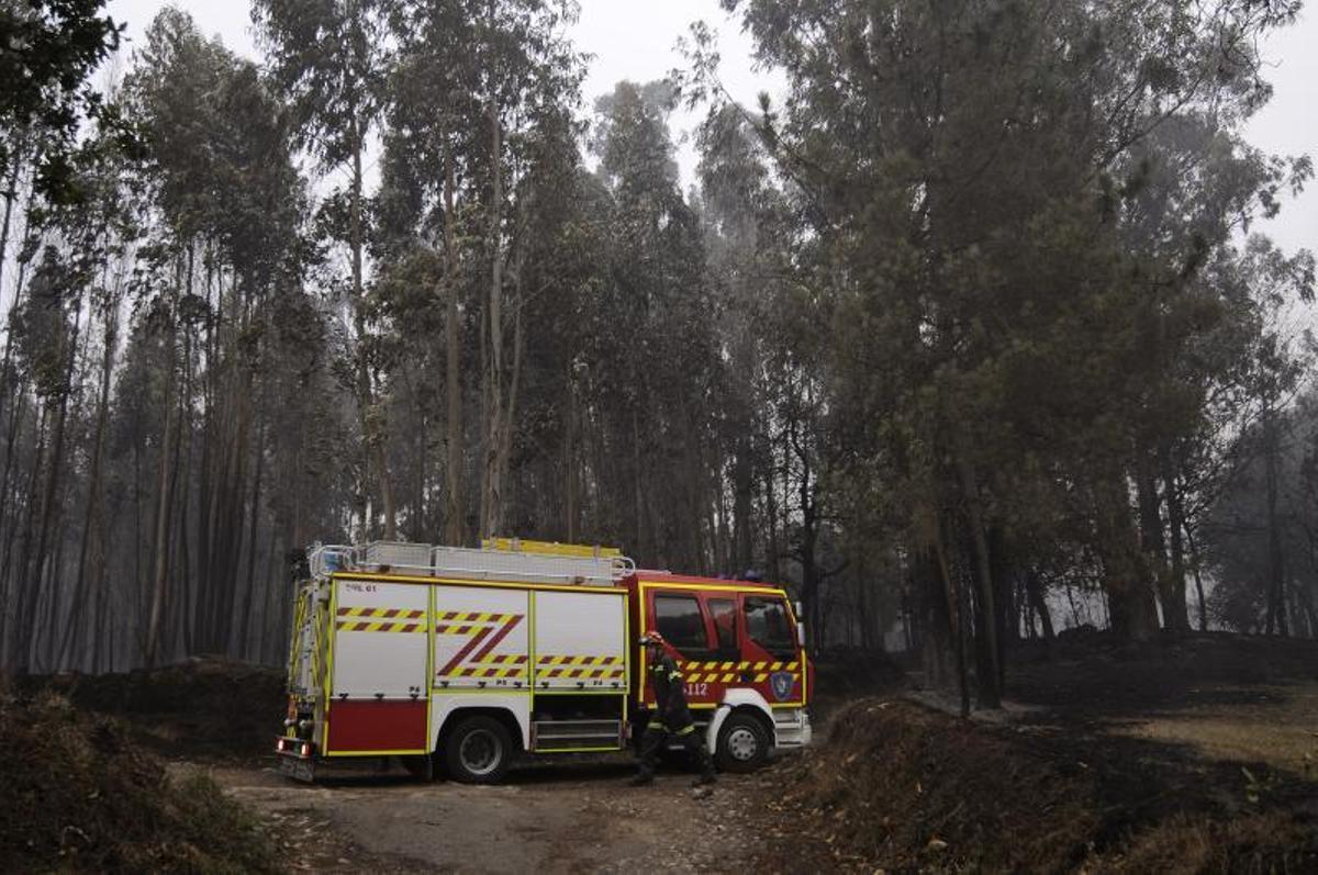 Incendio en Siador, Silleda, que calcinó una granja de gallinas