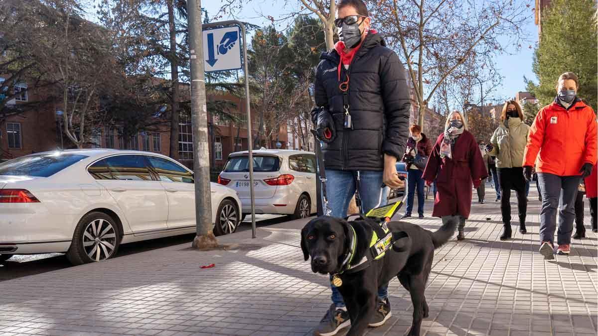 Alberto, el primer ciego sin manos que cuenta con un perro guía