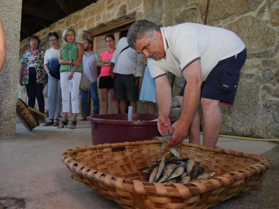 Museo de la Pesca y la Salazón de Punta Moreiras