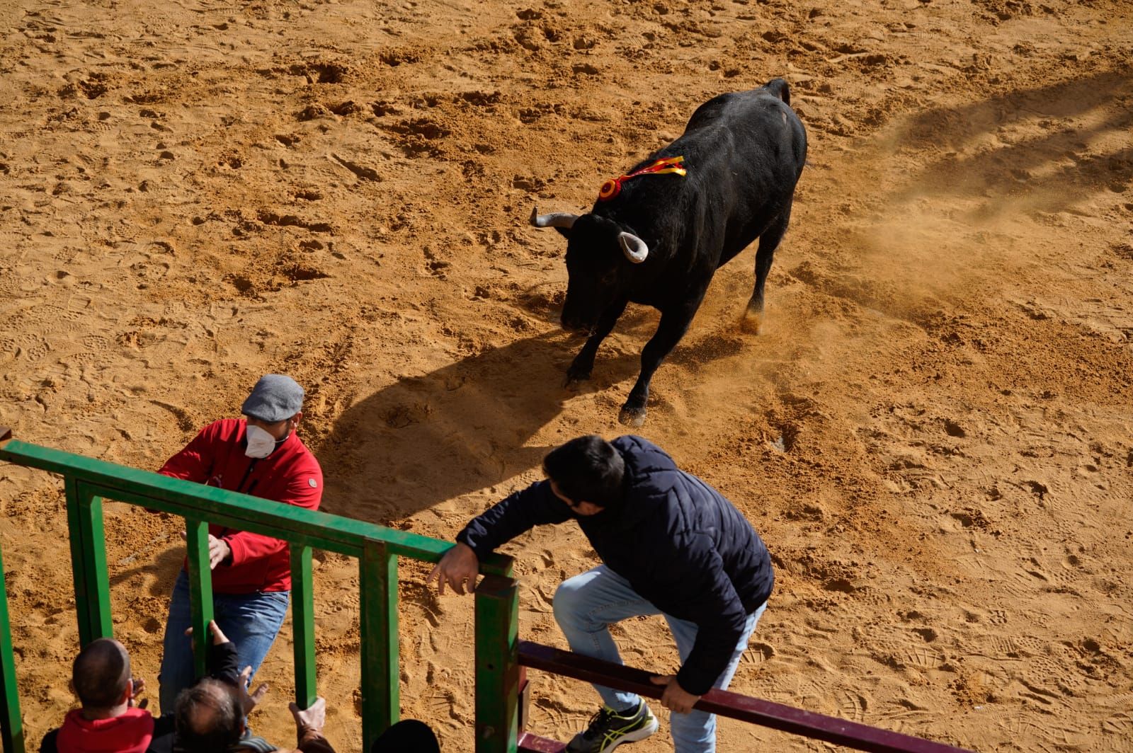 GALERÍA | Vuelve el Toro de la Purísima a Villalpando: así se ha celebrado el festejo taurino
