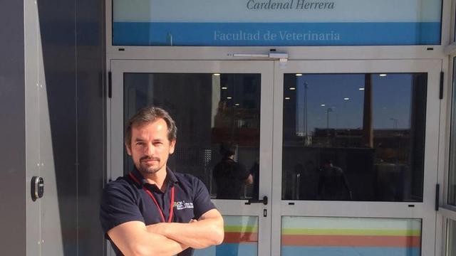 Valencia será sede en 2019 del encuentro europeo sobre medicina interna en caballos