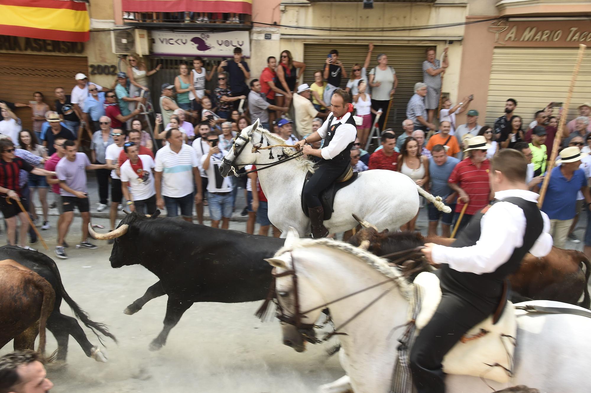 Las mejores fotos de la primera Entrada de Toros y Caballos de Segorbe tras la pandemia