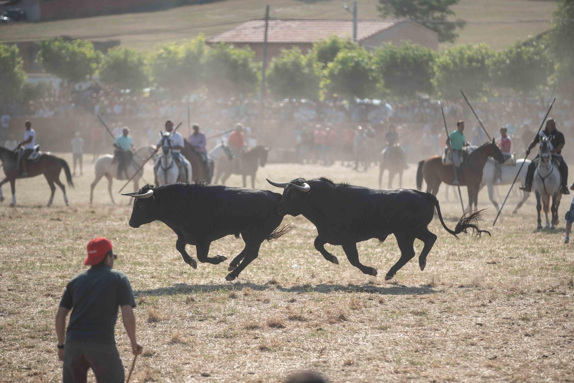 GALERÍA | Las mejores imágenes de los espantes de Fuentesaúco