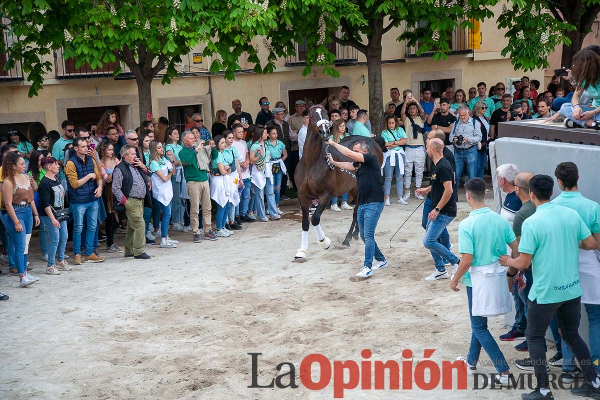 Entrada de Caballos al Hoyo en el día 1 de mayo