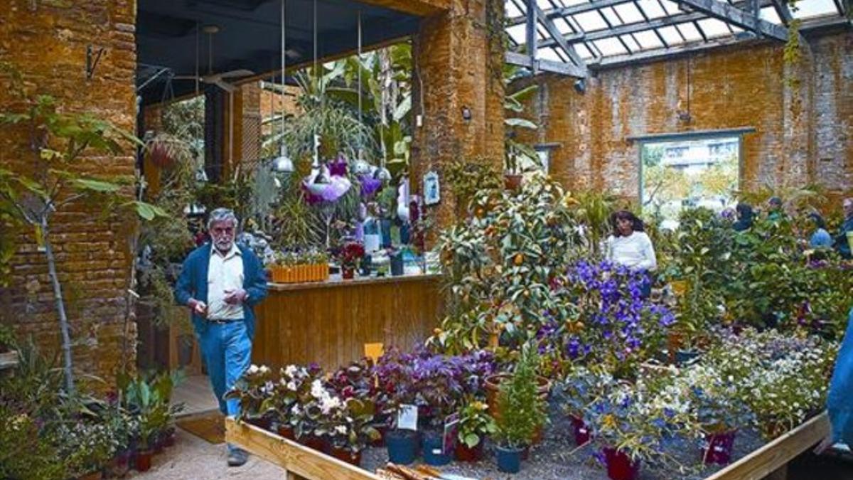 Ignasi Rossinés, en su comercio Hivernacle de Sants.