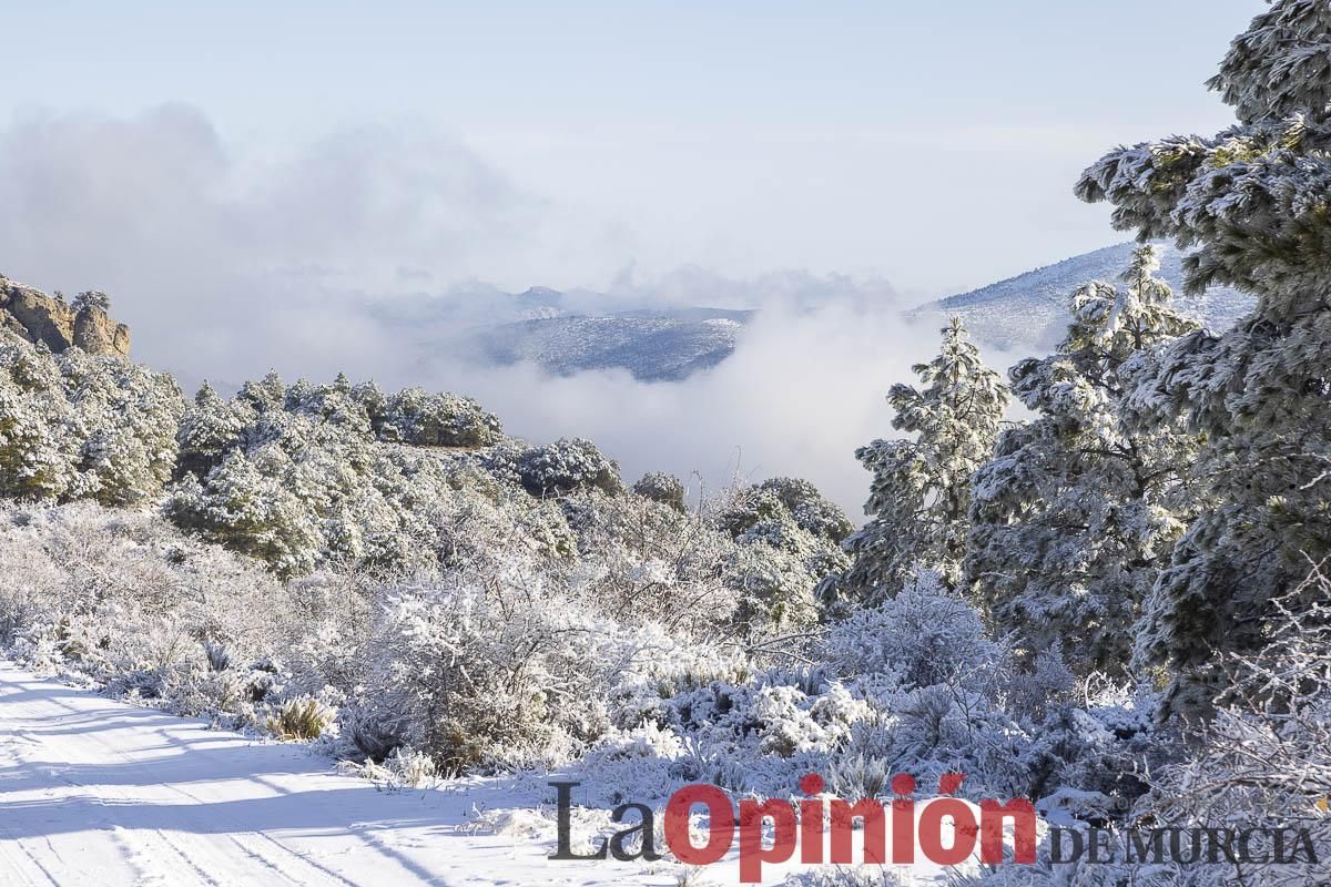 Descubre dónde queda acumulación de nieve en la Región de Murcia