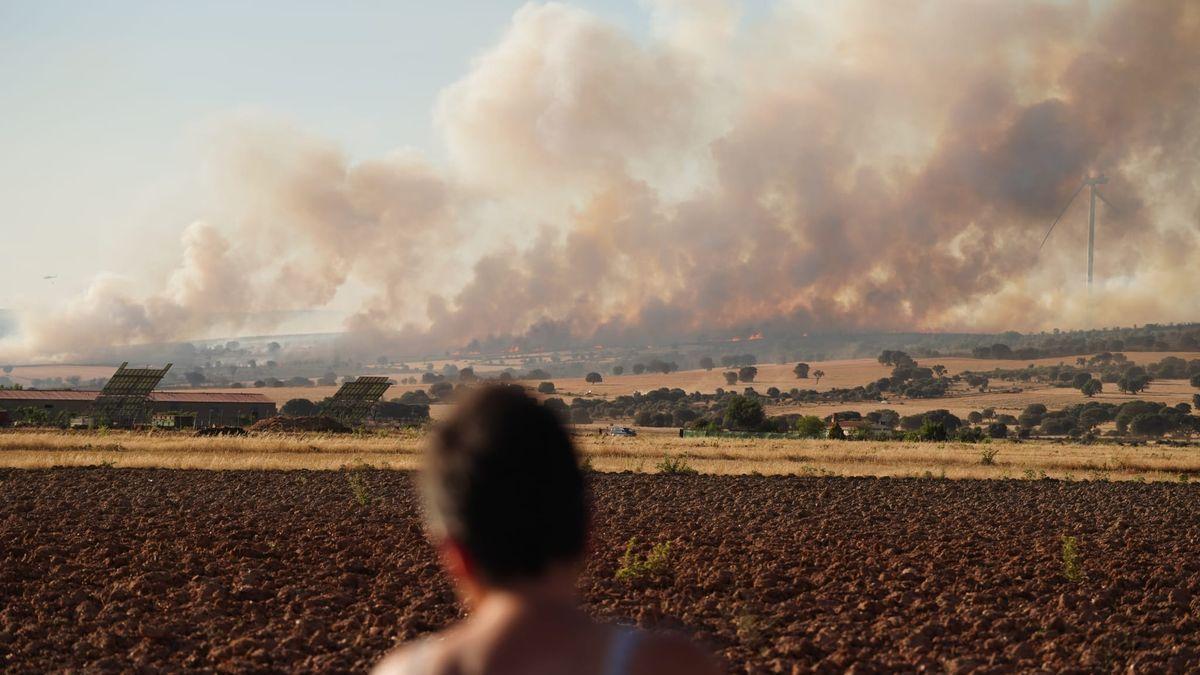 Nuevo incendio en Losacio.