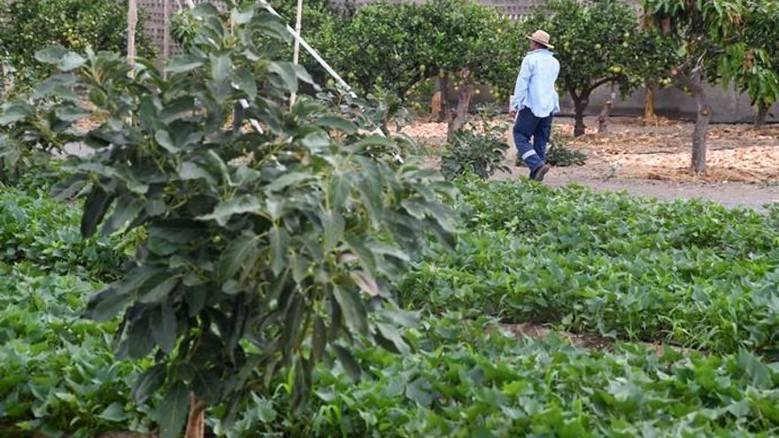 Agricultura para cultivar el futuro