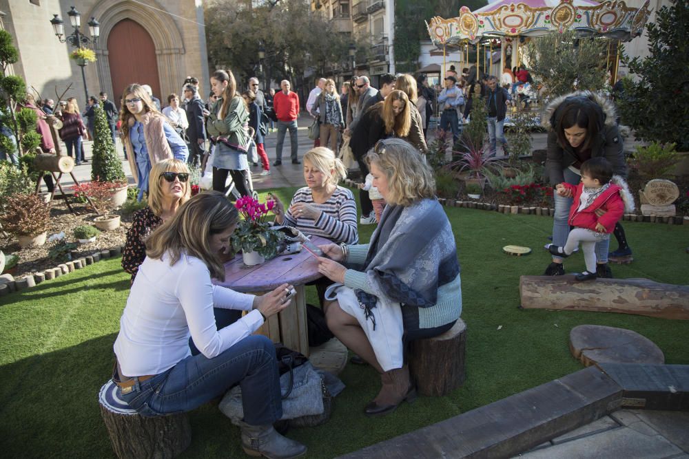 Avtos del Día de Constitución en la plaza María Agustina y plaza Mayor de Castelló