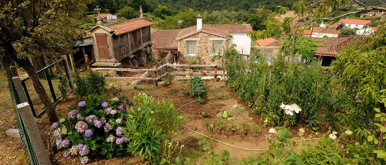 La vivienda dispone de cuatro hectáreas de finca, con zona de huerta y viñedos. // Bernabeé/Javier Lalín