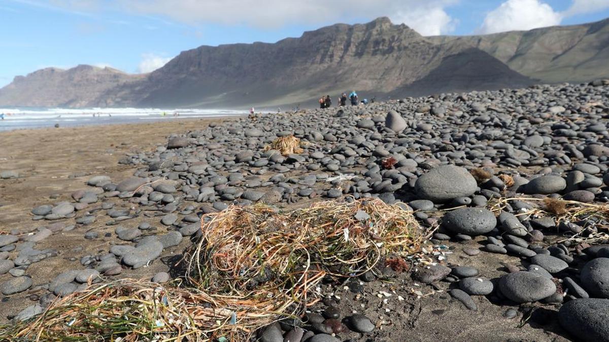 Presencia de microplásticos en la playa de Famara (Lanzarote), uno de los cuatros puntos ‘negros’ de Canarias.