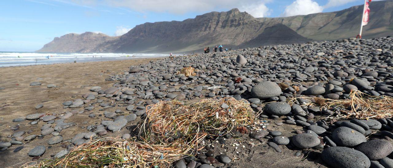 Presencia de microplásticos en la playa de Famara (Lanzarote), uno de los cuatros puntos ‘negros’ de Canarias.