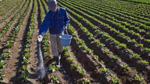 Los nitratos se emplean en actividades agrarias