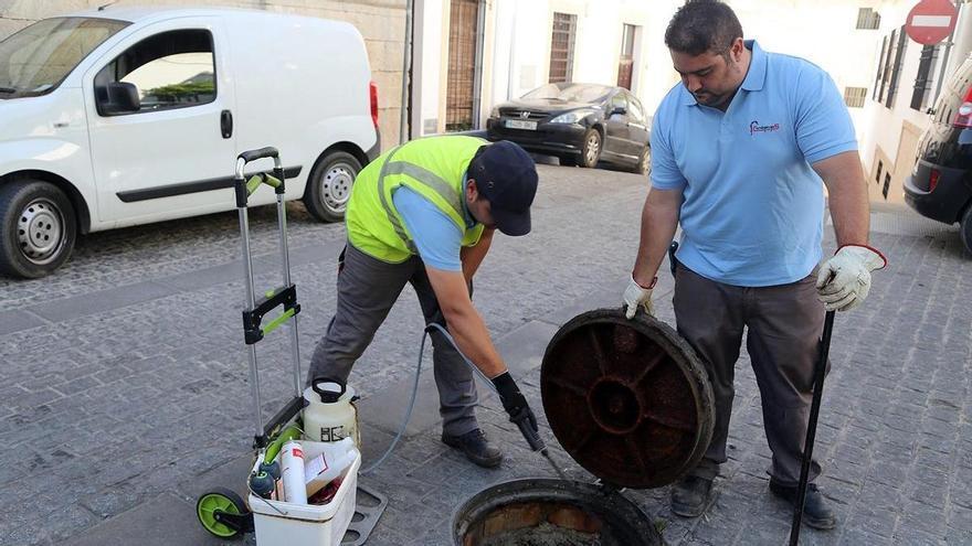 Aguas de Montilla ejecuta un plan intensivo de control de plagas en toda la red de saneamiento