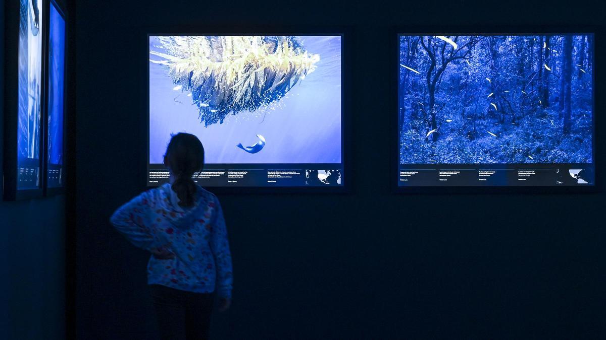 Sala dedicada al color azul en Cosmocaixa