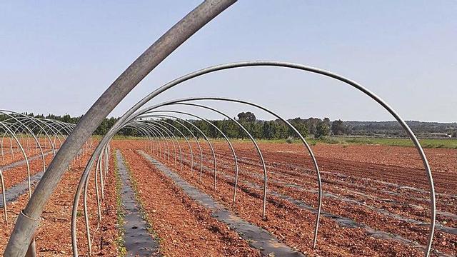 El plástico convencional se ha sustituido por biofilm biodegradable.