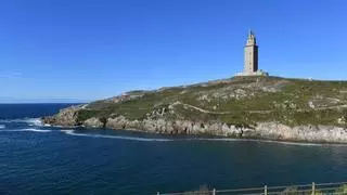 El santuario de los percebes de A Coruña, junto a la Torre, esquilmado por los furtivos: "Compromete a Navidade"