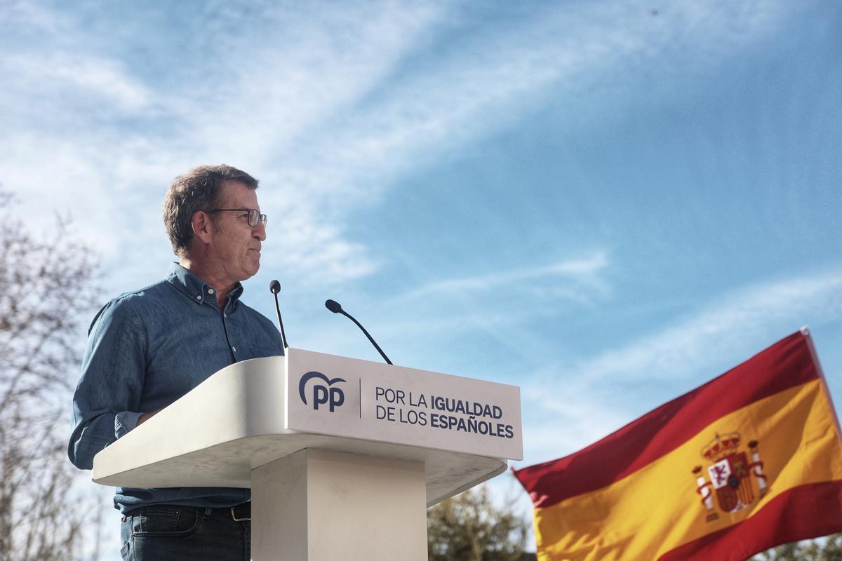 El presidente del Partido Popular, Alberto Núñez Feijóo, interviene durante una manifestación convocada por el PP, a 28 de enero de 2024, en Madrid (España).