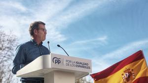 El presidente del Partido Popular, Alberto Núñez Feijóo, interviene durante una manifestación convocada por el PP, a 28 de enero de 2024, en Madrid (España).